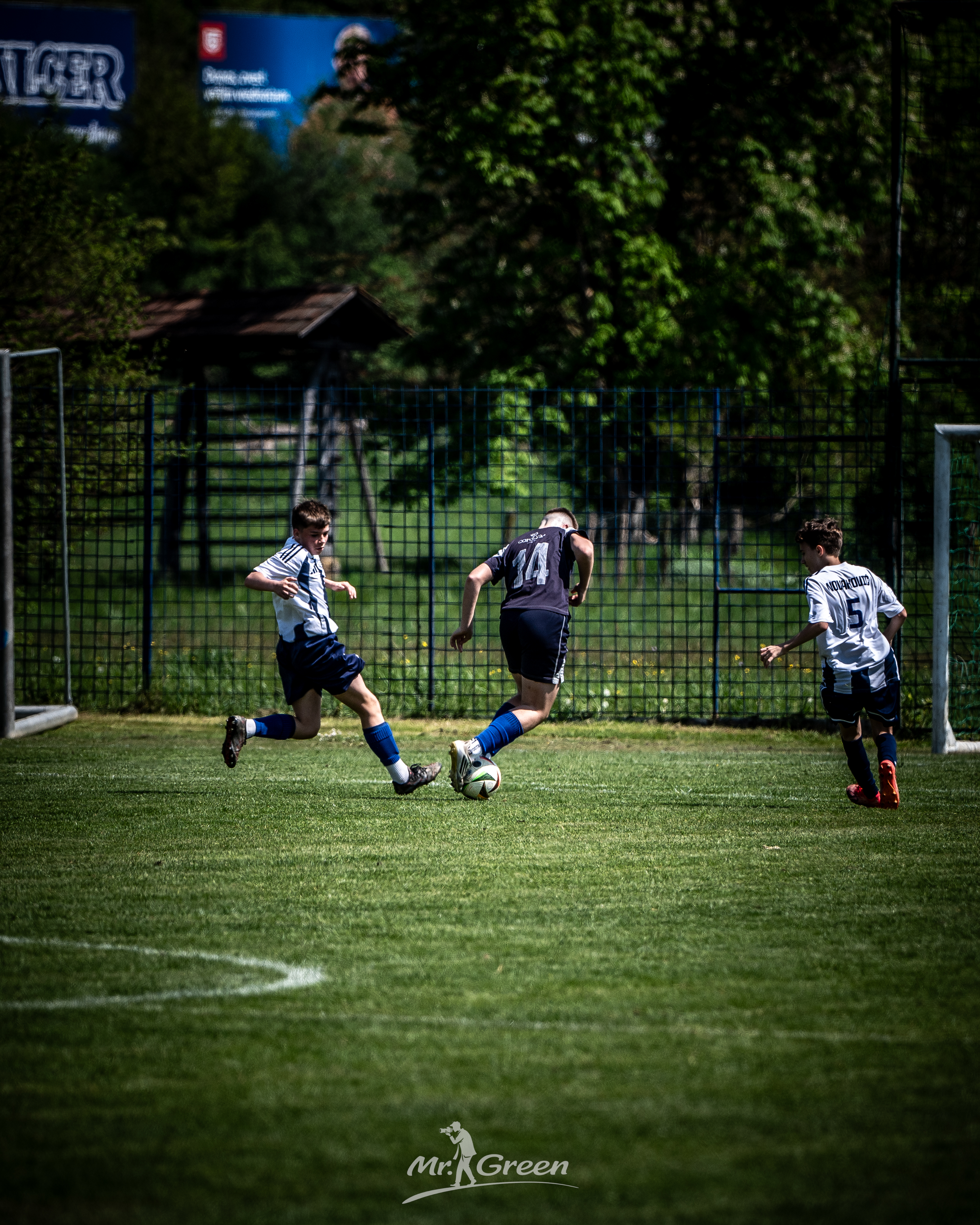 Mr. Green - Sports Photographer