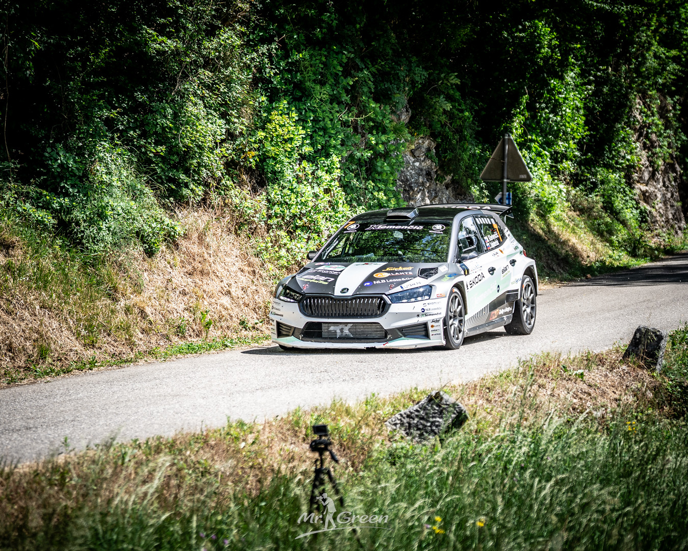 Rally Vipava 8 