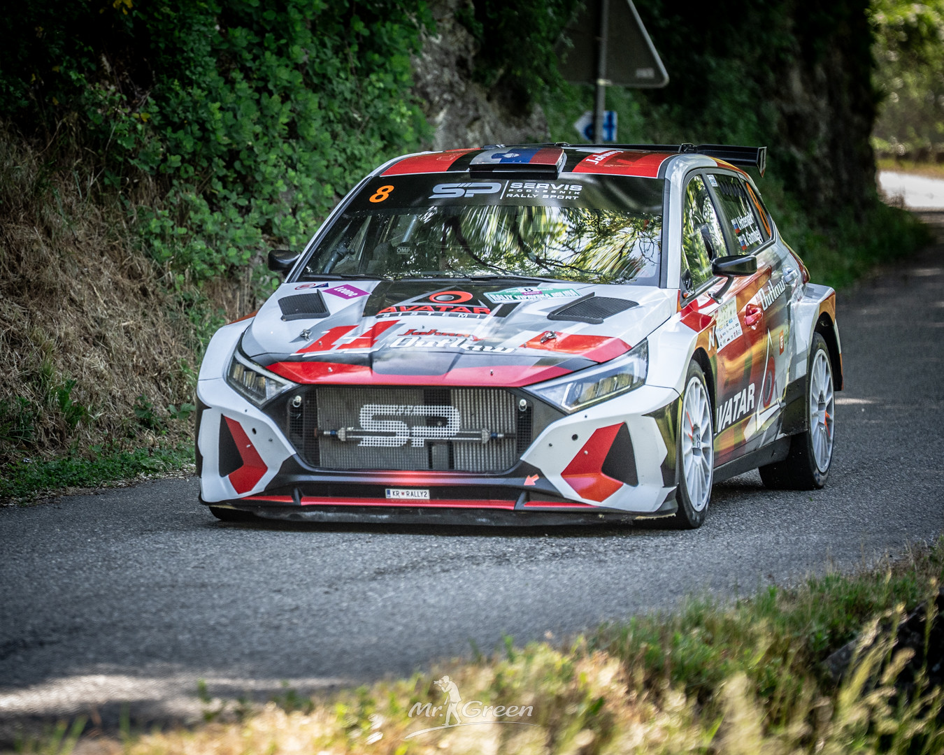 Rally Vipava 9 