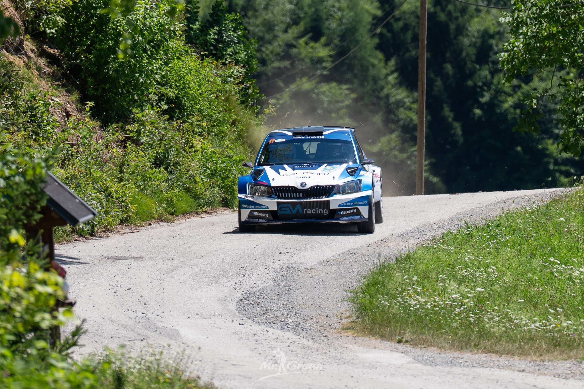 Shakedown Rally Železniki 